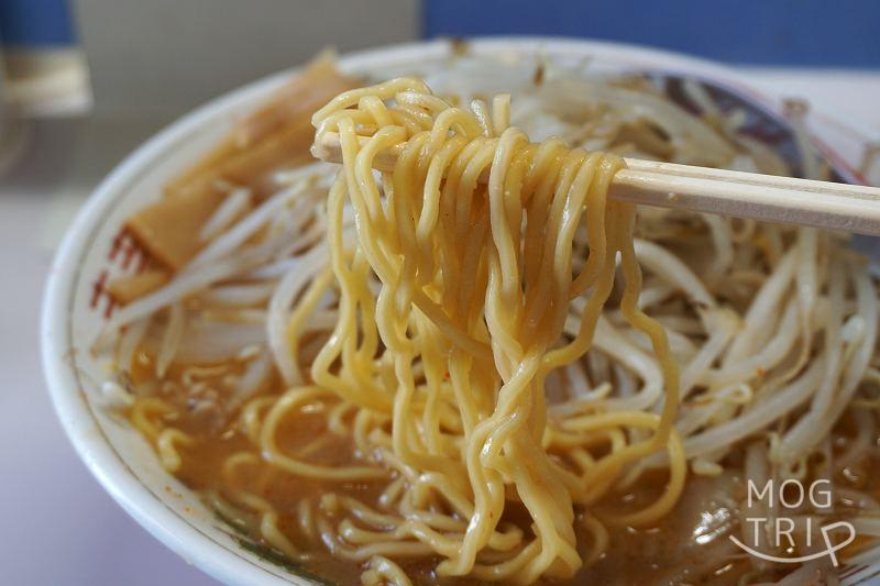 旭川「ラーメンよし乃」味噌ラーメンの麺